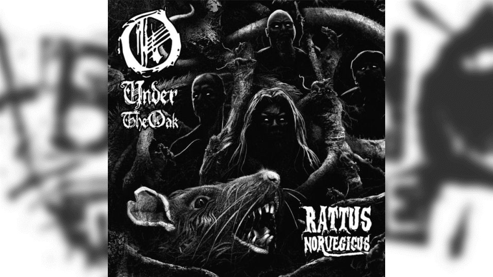 Review: Under The Oak – Rattus Norvegicus