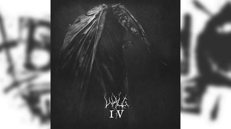 Review: Walg – IV