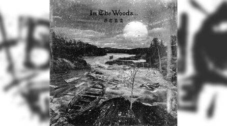 Review: In the Woods… – Otra