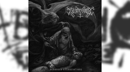 Review: Metaphobic – Deranged Excruciations