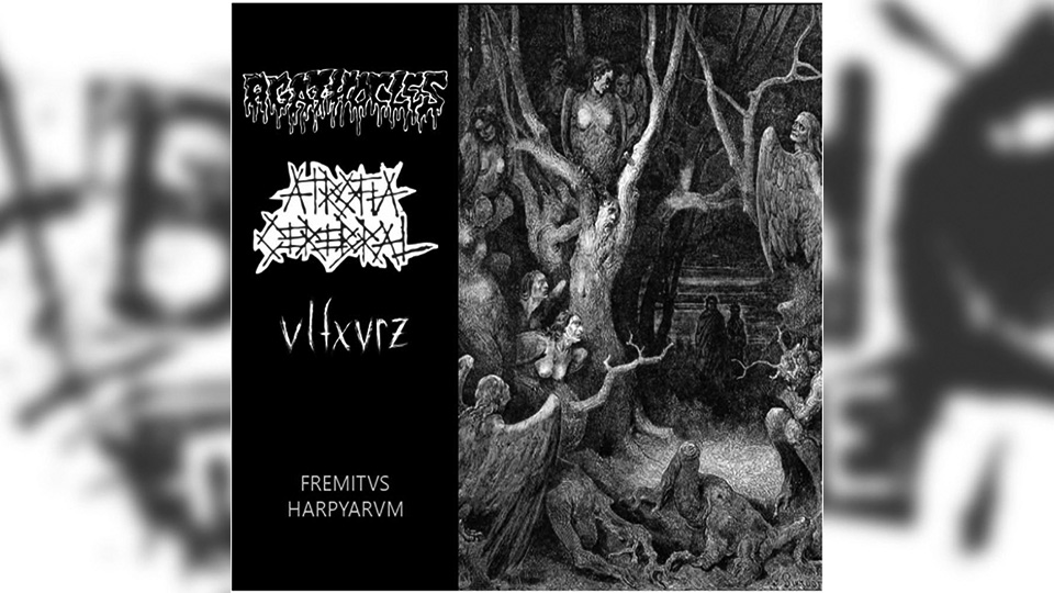 Review: Agathocles / Atrofia Cerebral / Vlfxvrz – Fremitvs Harpyarvm